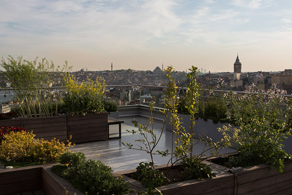 Rooftop seating among the planted beds